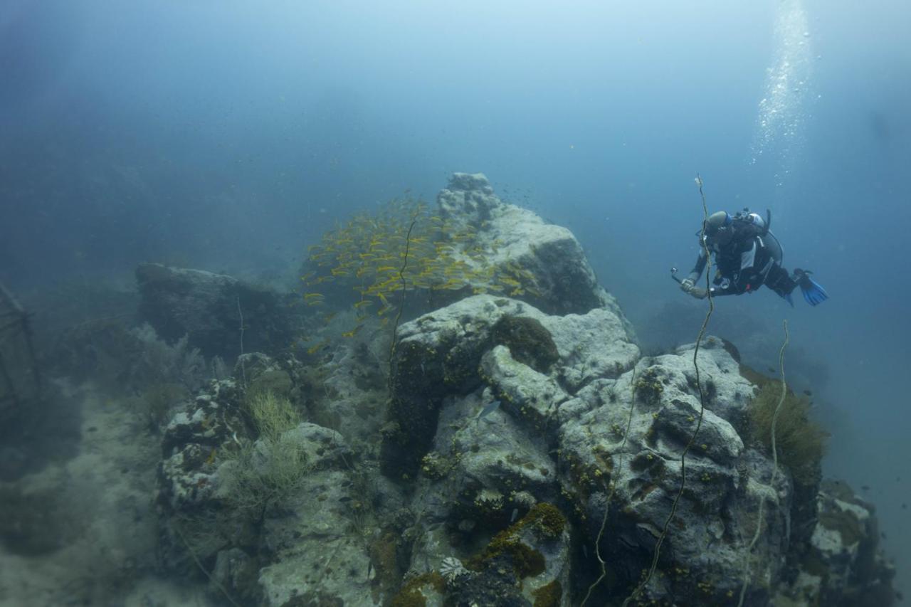Divers House Ko Tao Dış mekan fotoğraf